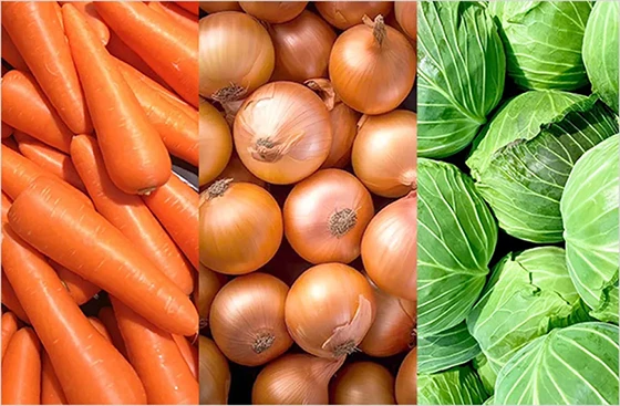 野菜原体（玉ねぎ、キャベツ、人参等）